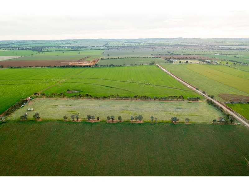 375 Roedigers Lane, Junee NSW 2663