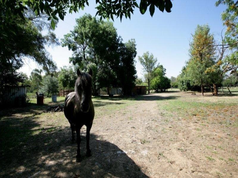 255 Lower Tarcutta  Rd, Wagga Wagga NSW 2650