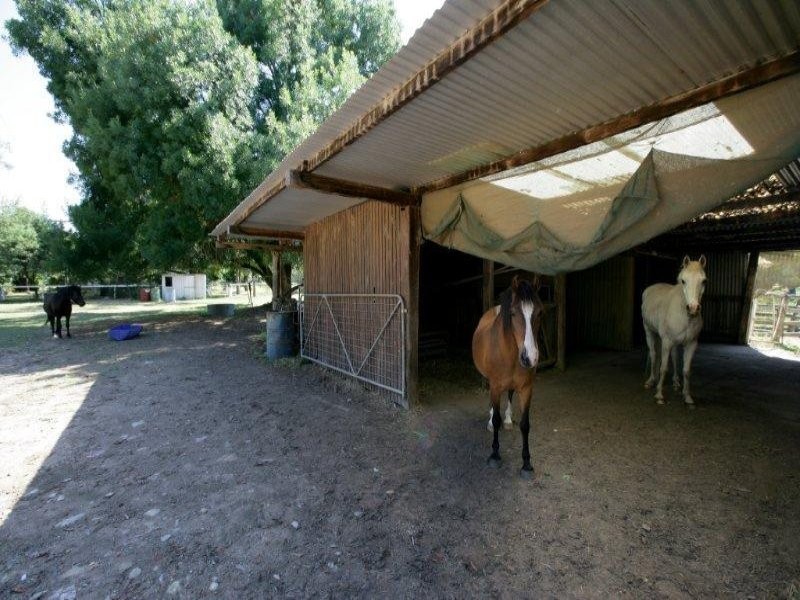 255 Lower Tarcutta  Rd, Wagga Wagga NSW 2650