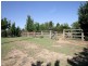 255 Lower Tarcutta  Rd, Wagga Wagga NSW 2650