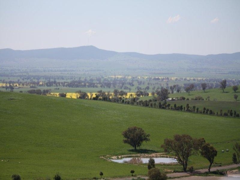 544 Wantiool Road, Junee NSW 2663