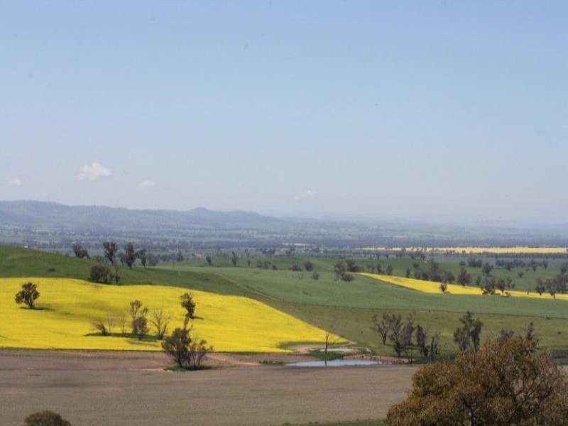 544 Wantiool Road, Junee NSW 2663