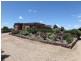 544 Wantiool Road, Junee NSW 2663