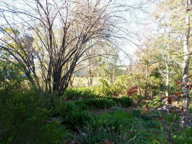 9 Layton St, Illabo NSW 2590