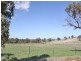 Lot 168 Tathra Drive, Junee NSW 2663