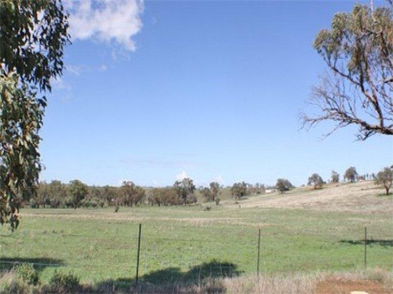 Lot 168 Tathra Drive, Junee NSW 2663