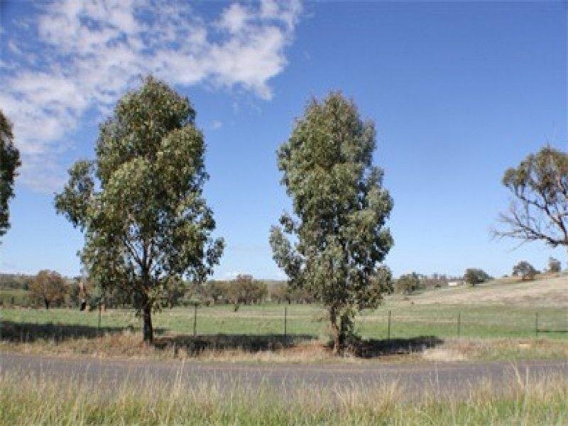 Lot 168 Tathra Drive, Junee NSW 2663