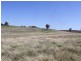 Lot 168 Tathra Drive, Junee NSW 2663