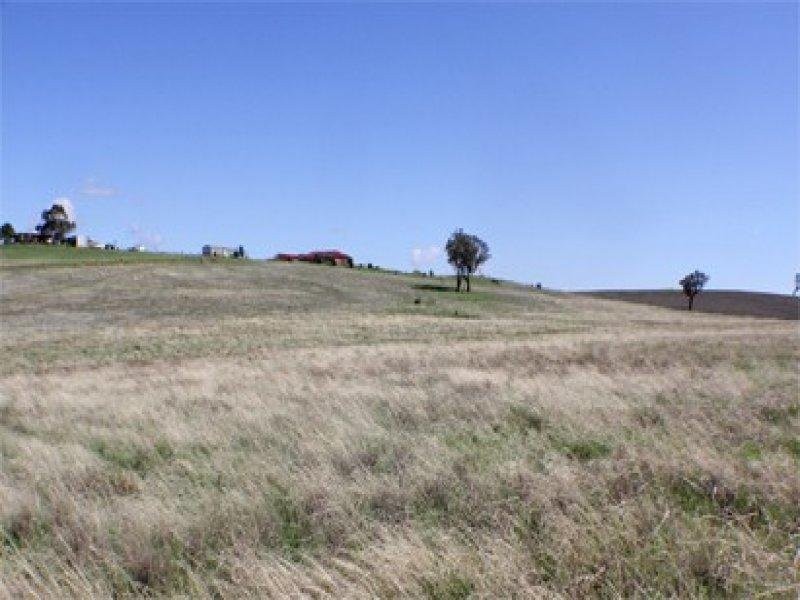 Lot 168 Tathra Drive, Junee NSW 2663