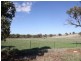 Lot 168 Tathra Drive, Junee NSW 2663