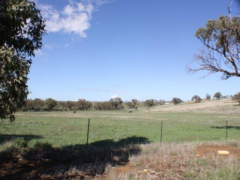 Lot 168 Tathra Drive, Junee NSW 2663