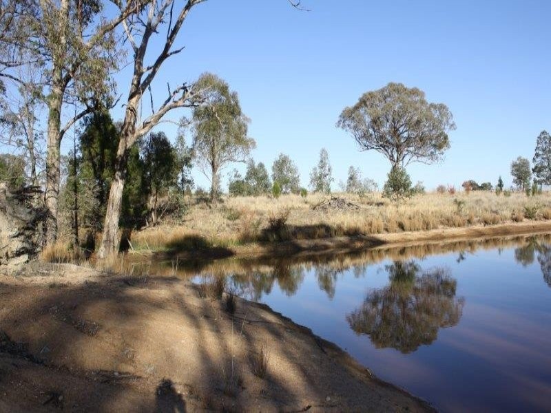 1437 Dirnaseer Road, Bethungra NSW 2590