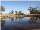 1437 Dirnaseer Road, Bethungra NSW 2590