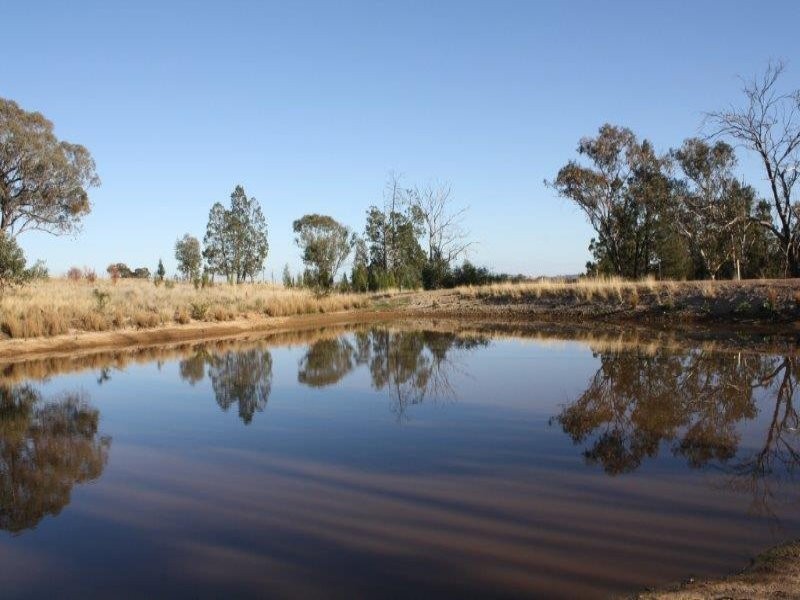 1437 Dirnaseer Road, Bethungra NSW 2590