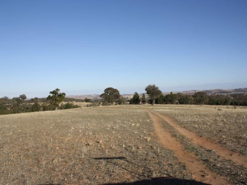 1437 Dirnaseer Road, Bethungra NSW 2590