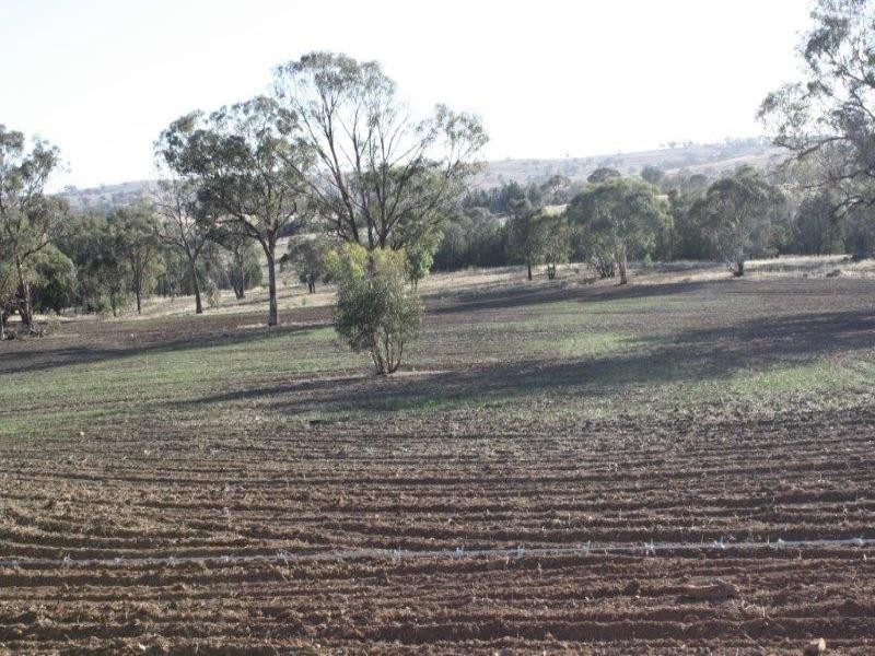 1437 Dirnaseer Road, Bethungra NSW 2590