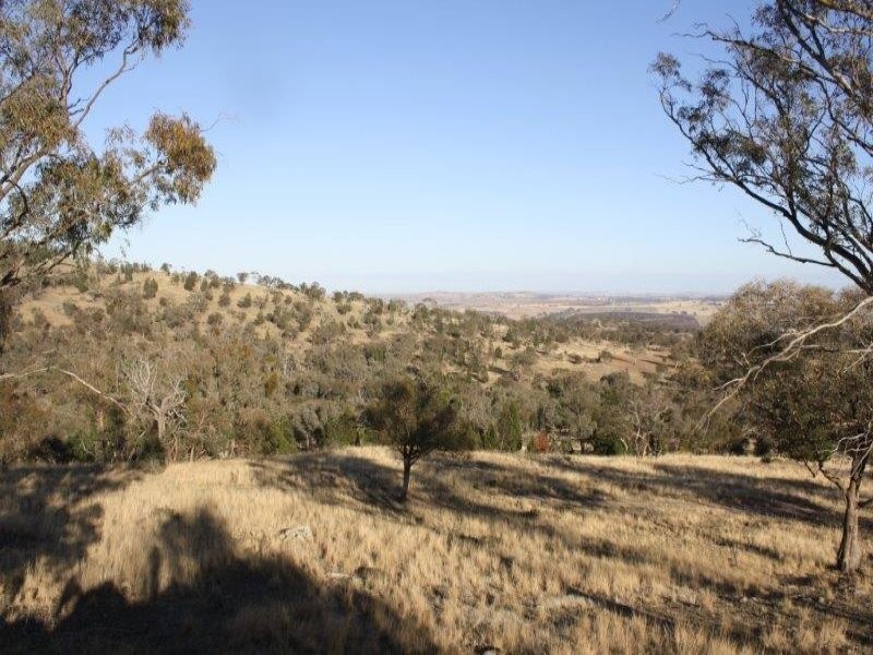 1437 Dirnaseer Road, Bethungra NSW 2590