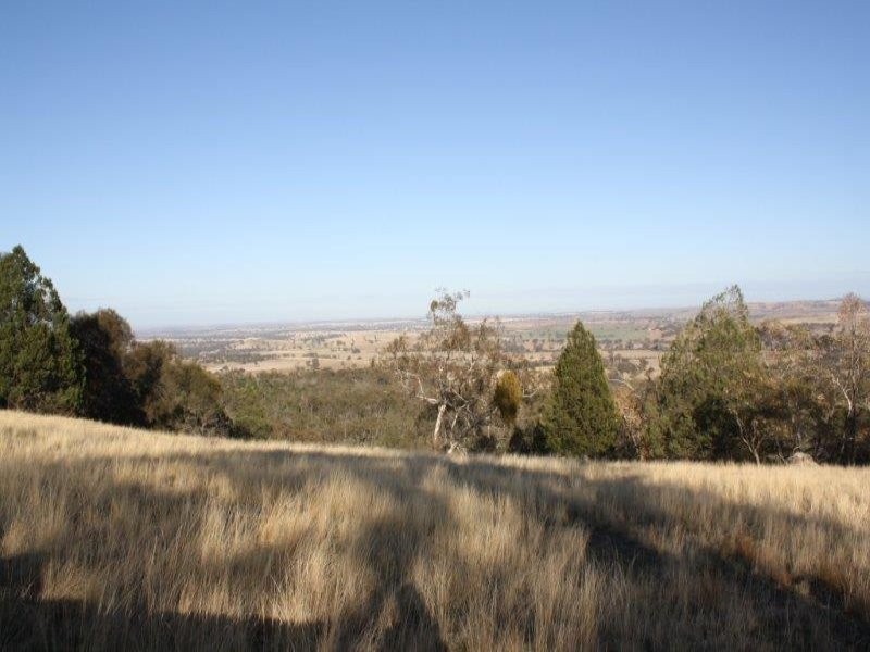 1437 Dirnaseer Road, Bethungra NSW 2590
