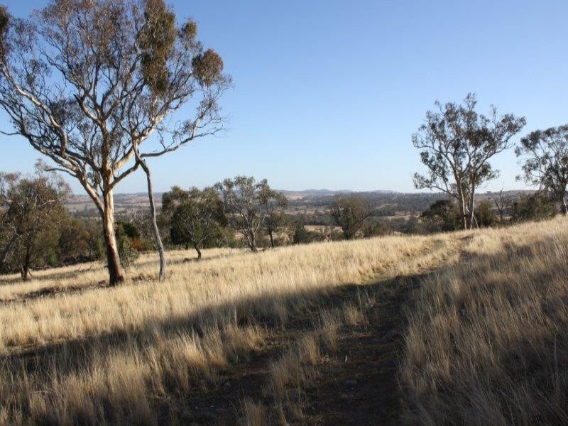 1437 Dirnaseer Road, Bethungra NSW 2590