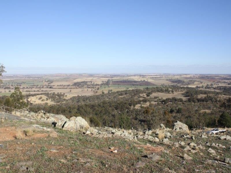 1437 Dirnaseer Road, Bethungra NSW 2590