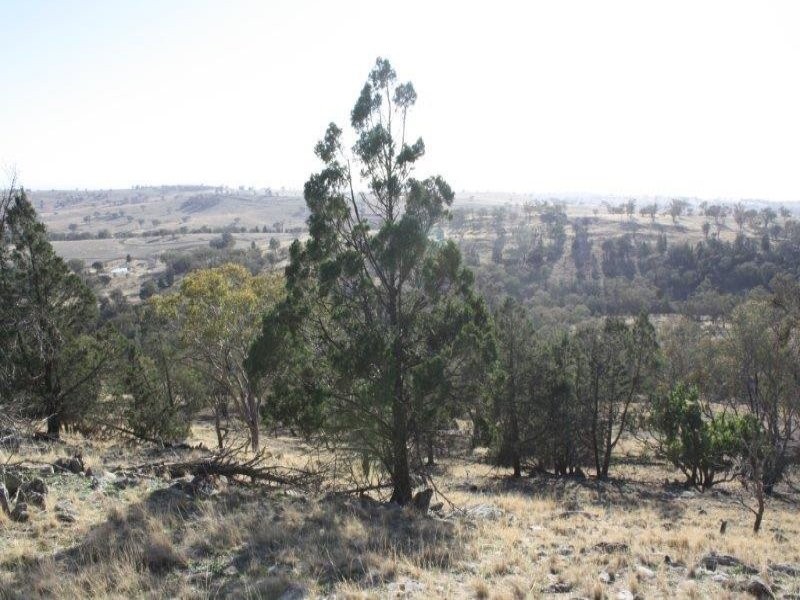 1437 Dirnaseer Road, Bethungra NSW 2590