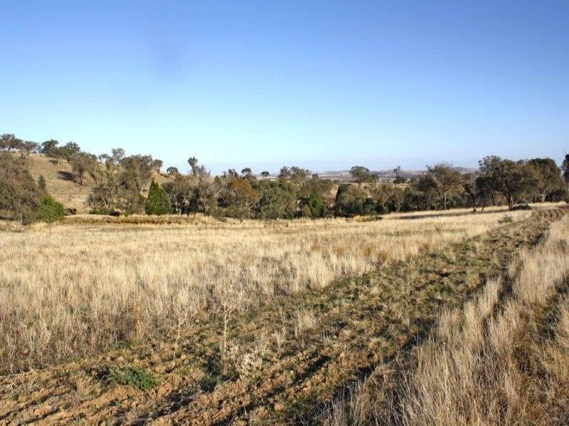 1437 Dirnaseer Road, Bethungra NSW 2590