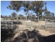 1437 Dirnaseer Road, Bethungra NSW 2590