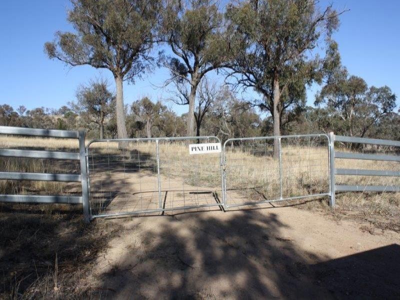 1437 Dirnaseer Road, Bethungra NSW 2590