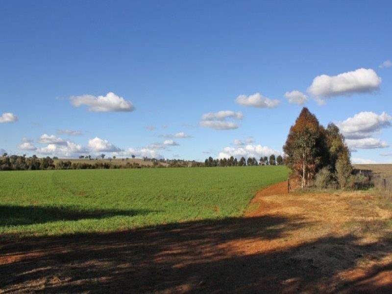 375 Roedigers Lane, Junee NSW 2663