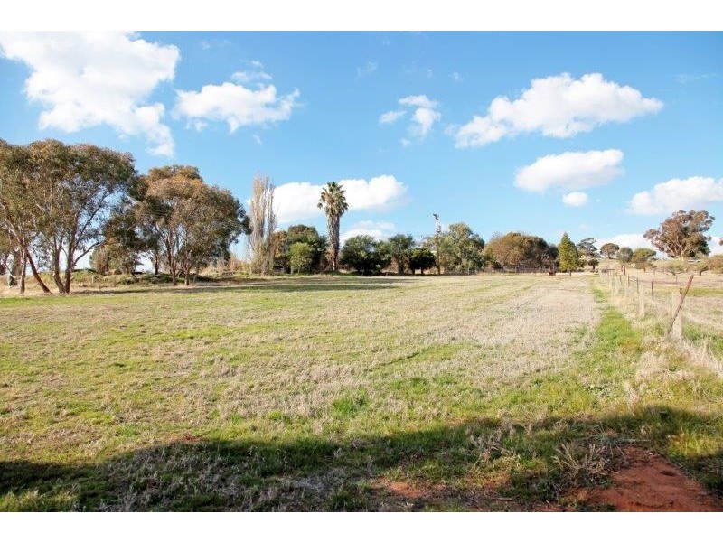 Lot 2 Olympic Highway, Junee NSW 2663