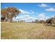 Lot 2 Olympic Highway, Junee NSW 2663