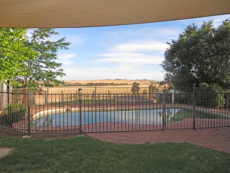 131 Albert St, Junee NSW 2663