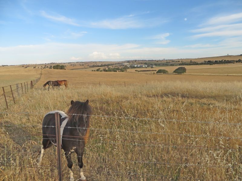 131 Albert St, Junee NSW 2663