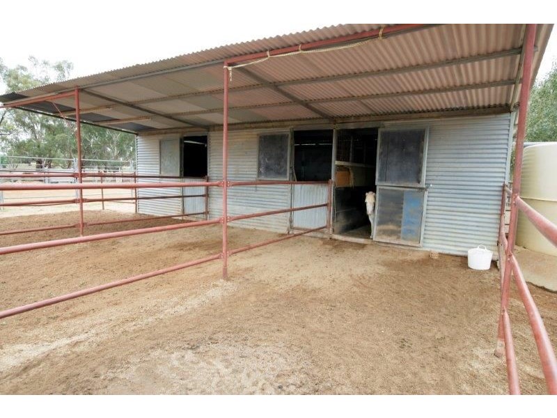 1540 Canola Way, Marrar NSW 2652