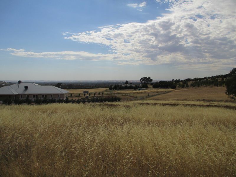 21 Kunzea Place, Springvale NSW 2650