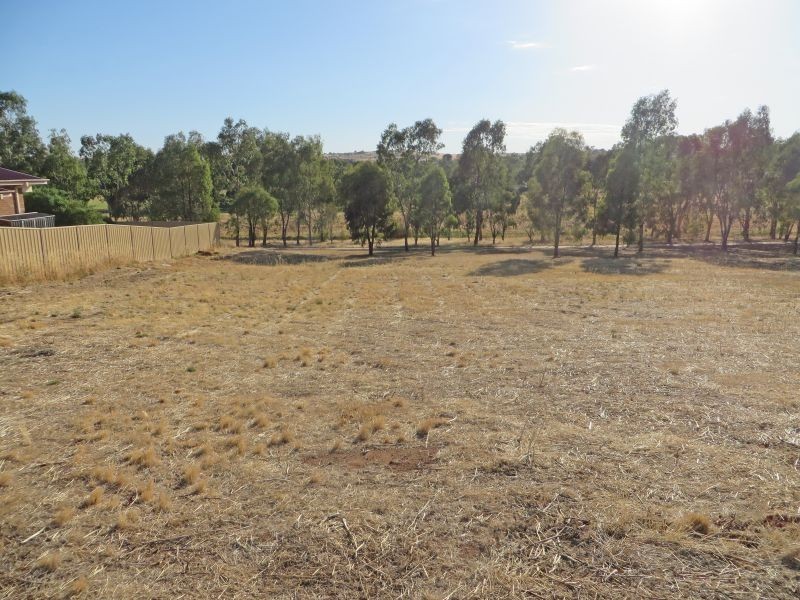 41 John Potts Dr, Junee NSW 2663