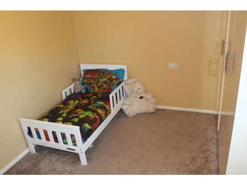 46 Callaghan Street, Ashmont NSW 2650