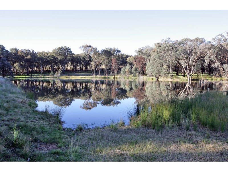 196 Barcoo Lane, Big Springs NSW 2650
