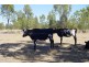 290 Redgum Road, Ducklo QLD 4405