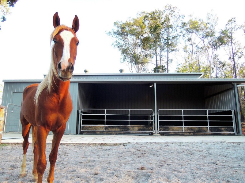 703 Atkinsons Dam Road, Atkinsons Dam QLD 4311
