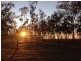 703 Atkinsons Dam Road, Atkinsons Dam QLD 4311