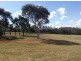 16 Barton St, Greenmount QLD 4359