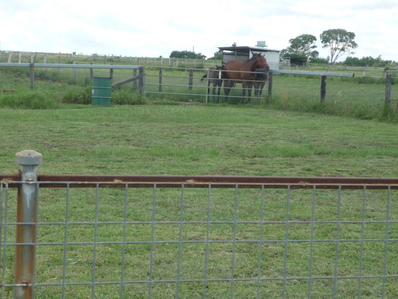 52 Hartvigsen Street, Wyreema QLD 4352