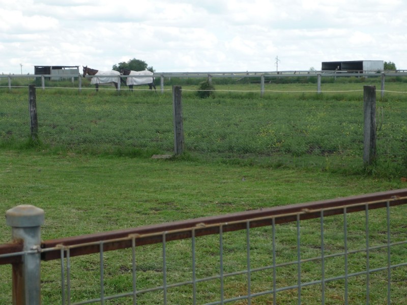 52 Hartvigsen Street, Wyreema QLD 4352