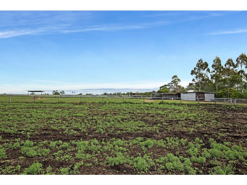 52 Hartvigsen Street, Wyreema QLD 4352