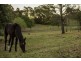 281 Kearney Street, Top Camp QLD 4350