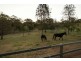 281 Kearney Street, Top Camp QLD 4350