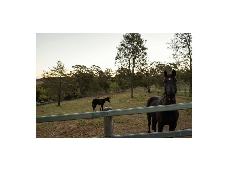 281 Kearney Street, Top Camp QLD 4350