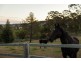 281 Kearney Street, Top Camp QLD 4350