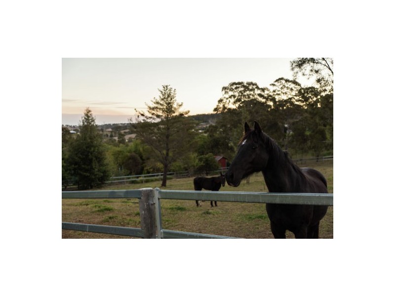 281 Kearney Street, Top Camp QLD 4350